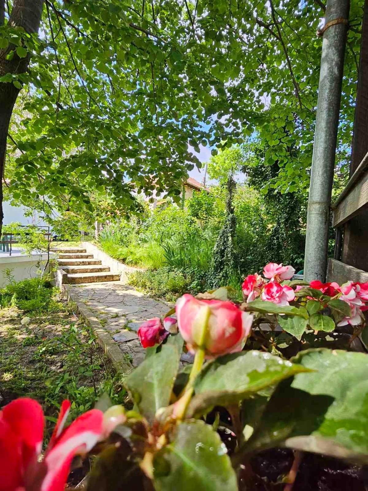 Orehite-Family Hotel ,Food & Pool Bozhichen Buitenkant foto